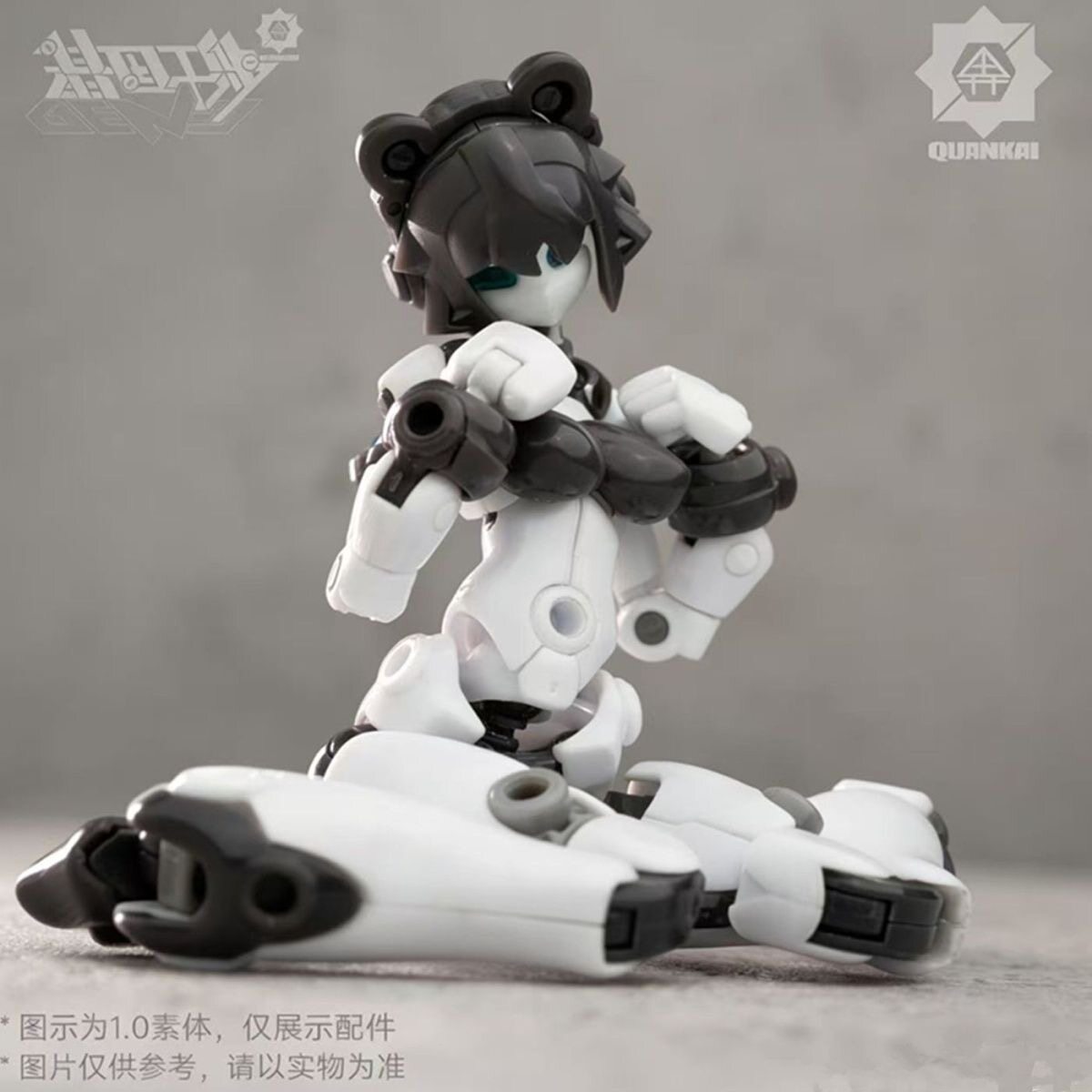Kit Gene Interference Series Q - Model Kit China incelemesi ve fiyatı