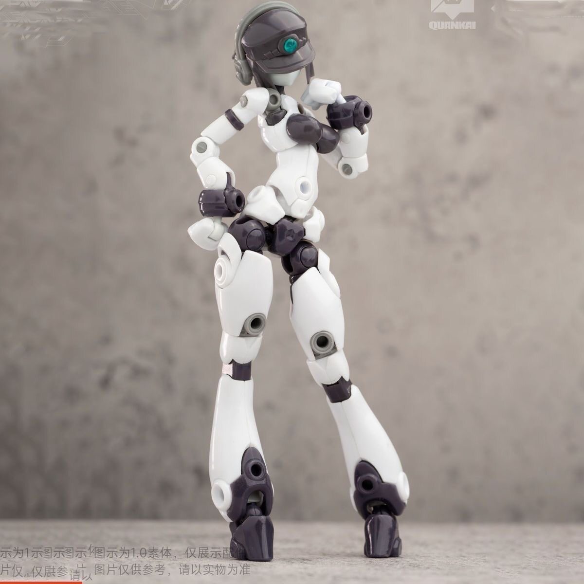 Kit Gene Interference Series Q - Model Kit China incelemesi ve fiyatı